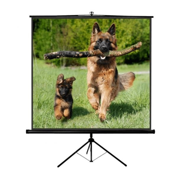 foto del prodotto tp new junior 240x240 - 1224nj