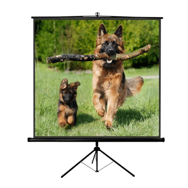 foto del prodotto tp new junior 240x240