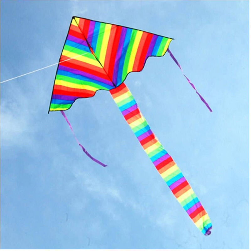 foto del prodotto trade shop aquilone arcobaleno coda lunga gioco esterno spiaggia super facile da pilotare 