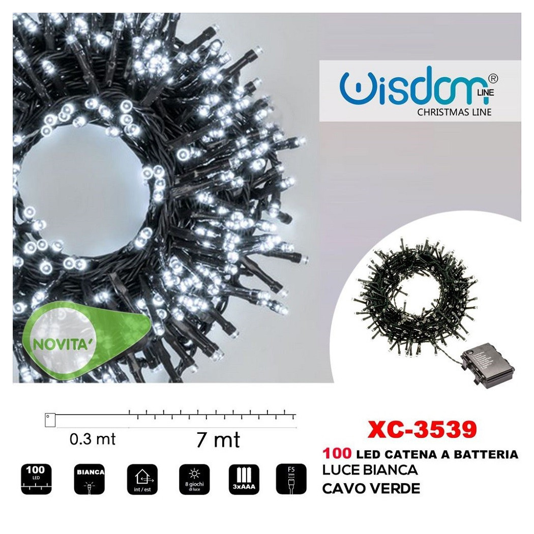 foto del prodotto trade shop catena luminosa 100led lucciole con batteria cavo verde luce bianca ip44 xc 3539 