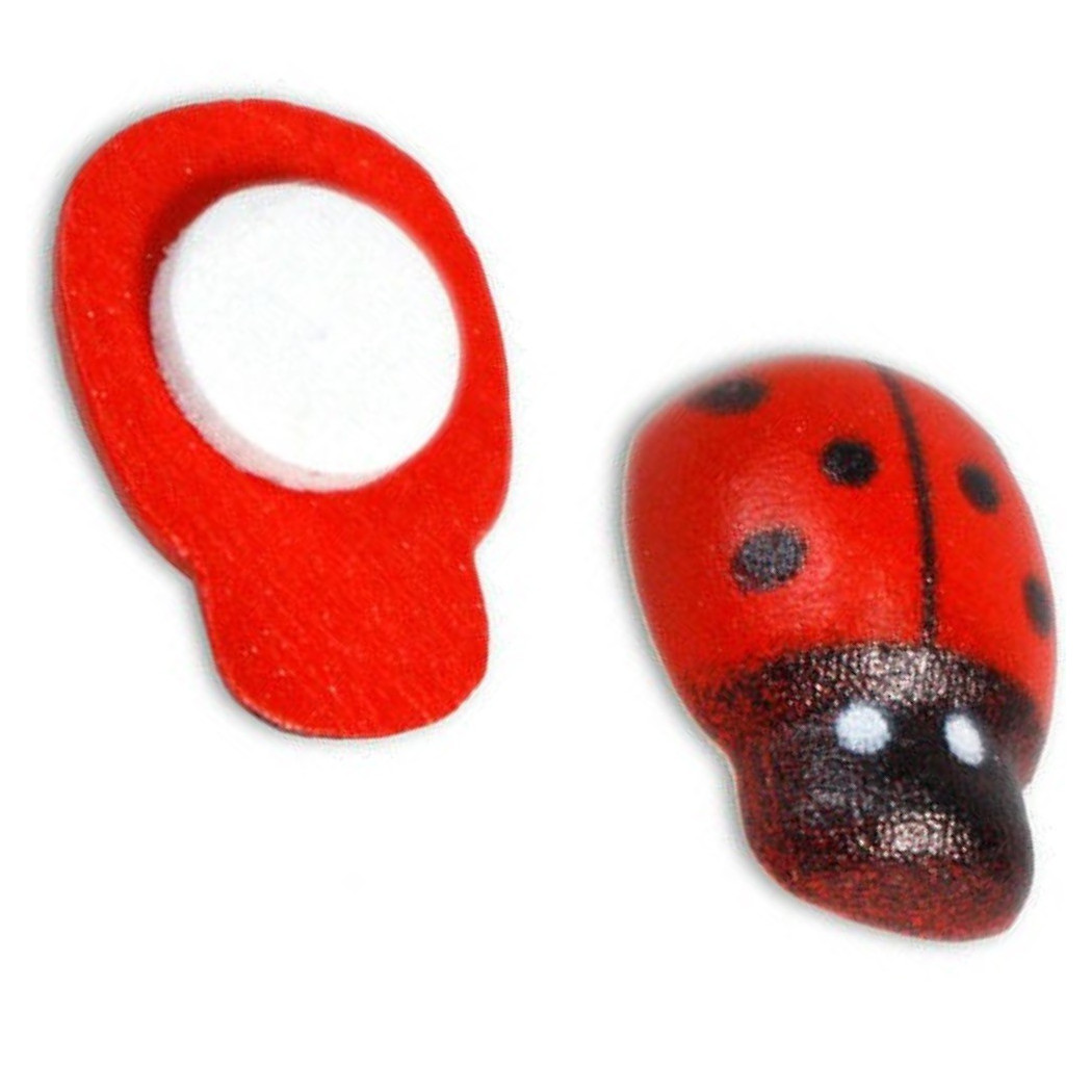 foto del prodotto trade shop coccinelle portafortuna adesive in legnoper decorazione bomboniere bigliettini 