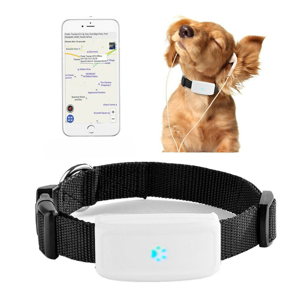 foto del prodotto trade shop collare localizzatore gps gsm tracker per animali cane gatto con collare 
