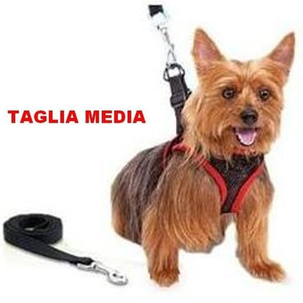 foto del prodotto trade shop elegante pettorina e guinzaglio regolabile per cane comfy control taglia media 