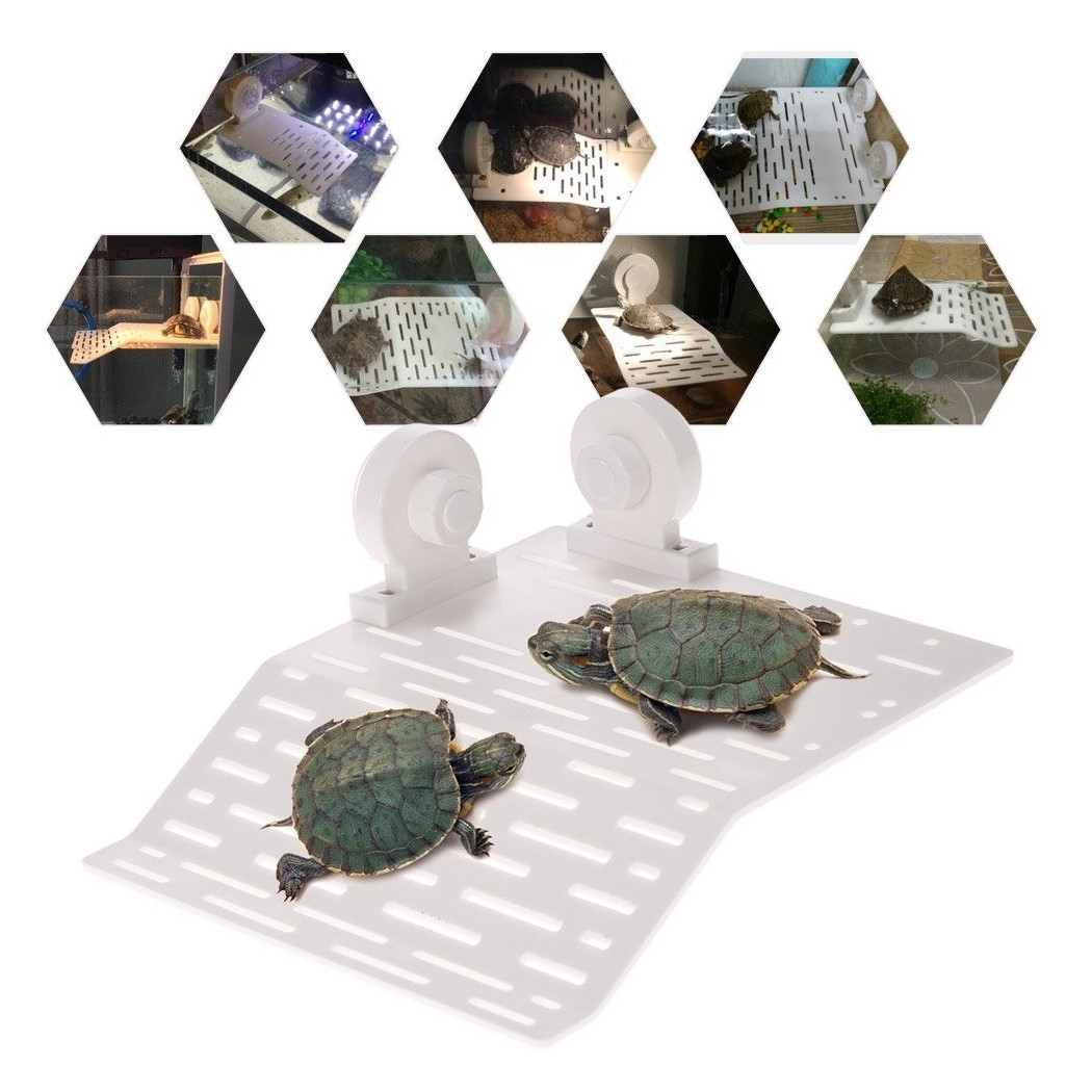 foto del prodotto trade shop isola galleggiante per tartaruga tartarughe rettile con 2 ventose acquario 