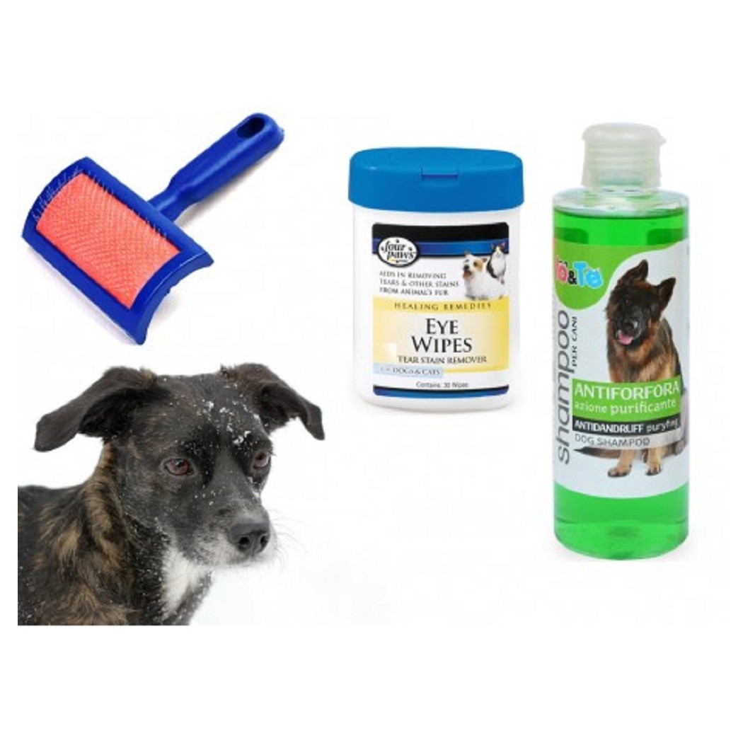 foto del prodotto trade shop kit pulizia cani shampoo azione purificante salviettine spazzola cardatore antiforfora 