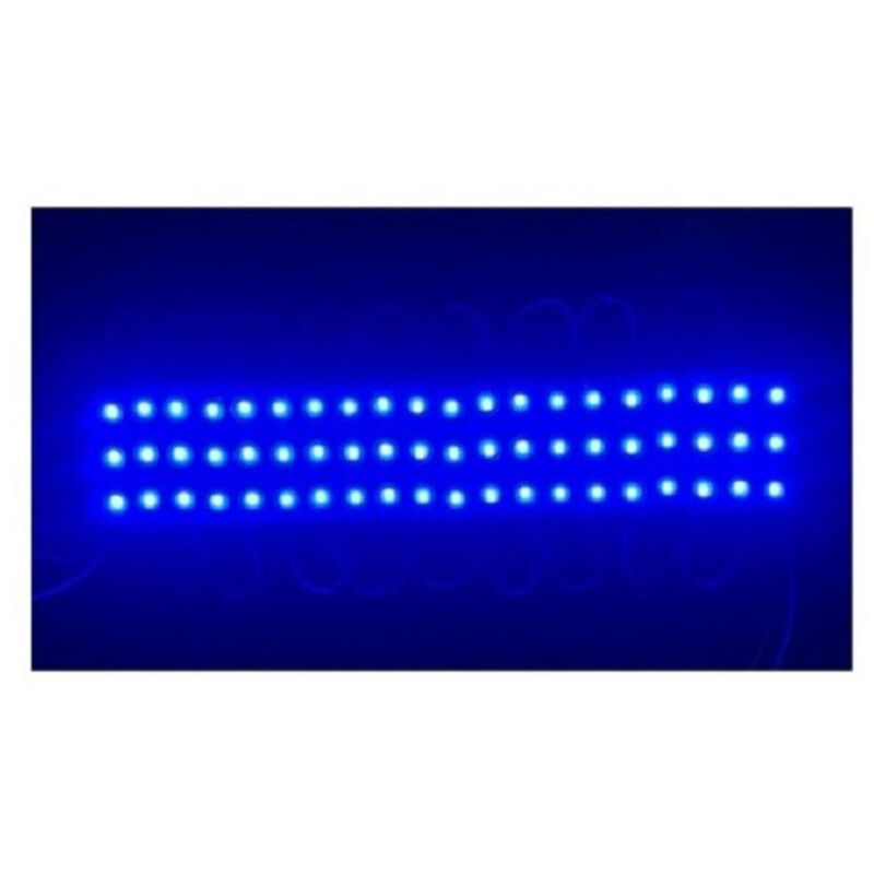 foto del prodotto trade shop modulo led 12v 2835 20 strisce 3 led insegne tabelle vari colori luce 2835 12v 3 blu 