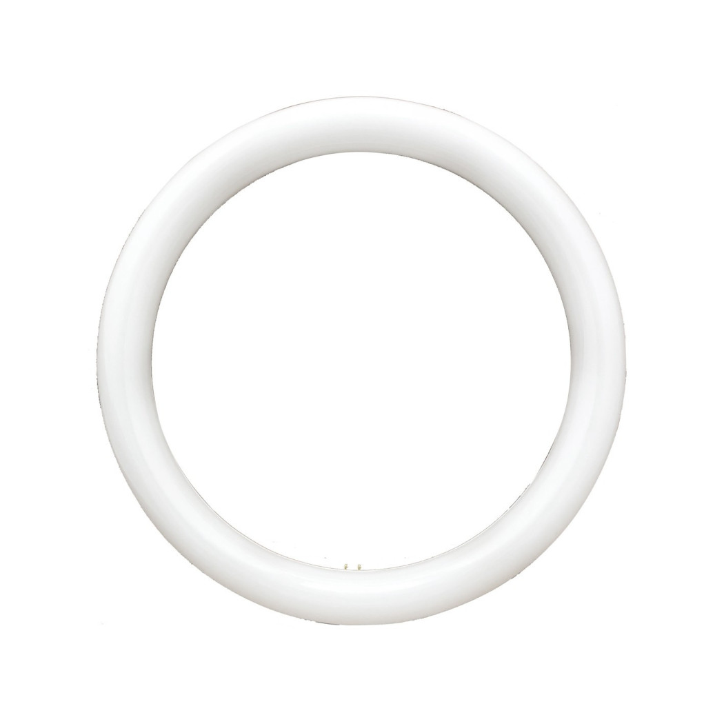 foto del prodotto trade shop neon circolare disco lampada circolina lampadina 32w g10q 30cm 300mm luce fredda 