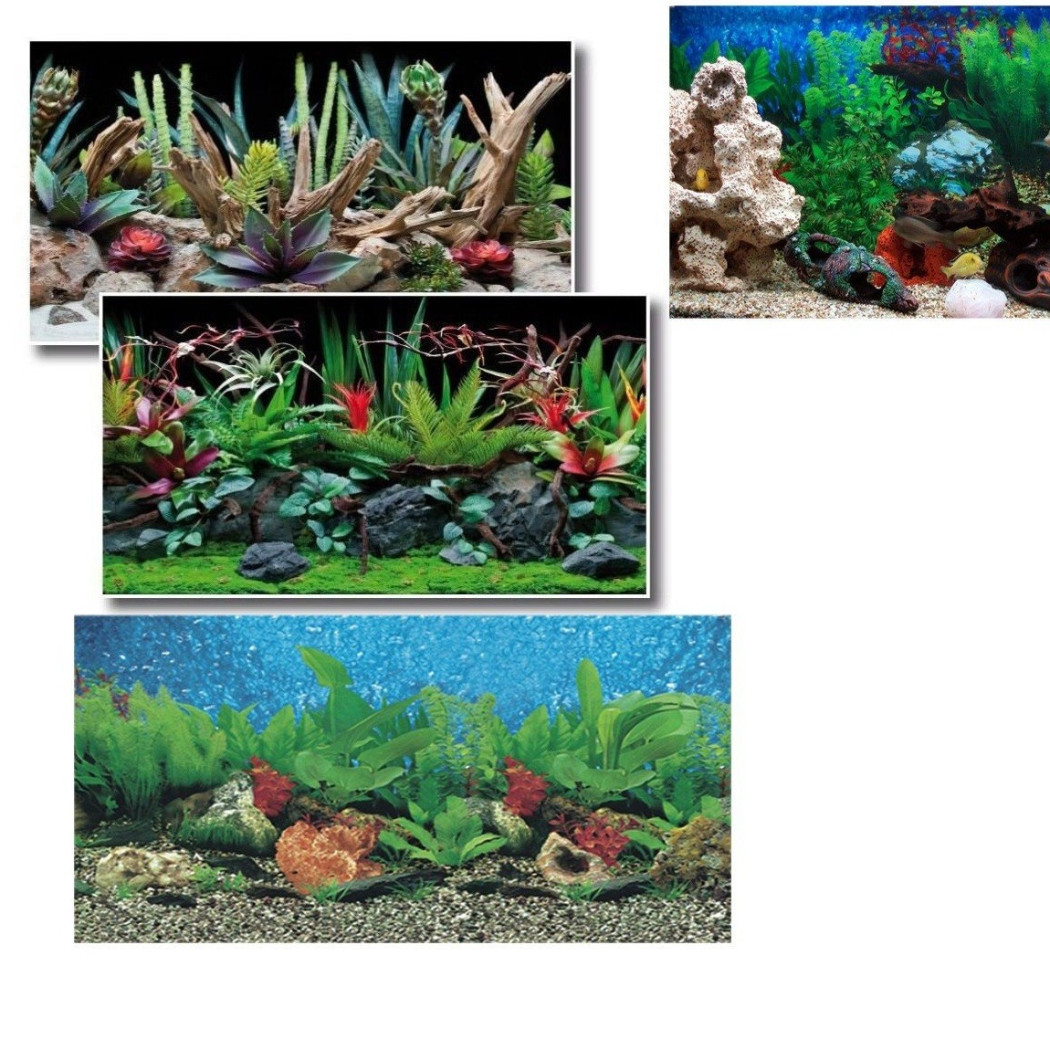 foto del prodotto trade shop sfondo per acquario 50x115 cm pellicole immagini esterne retro poster 
