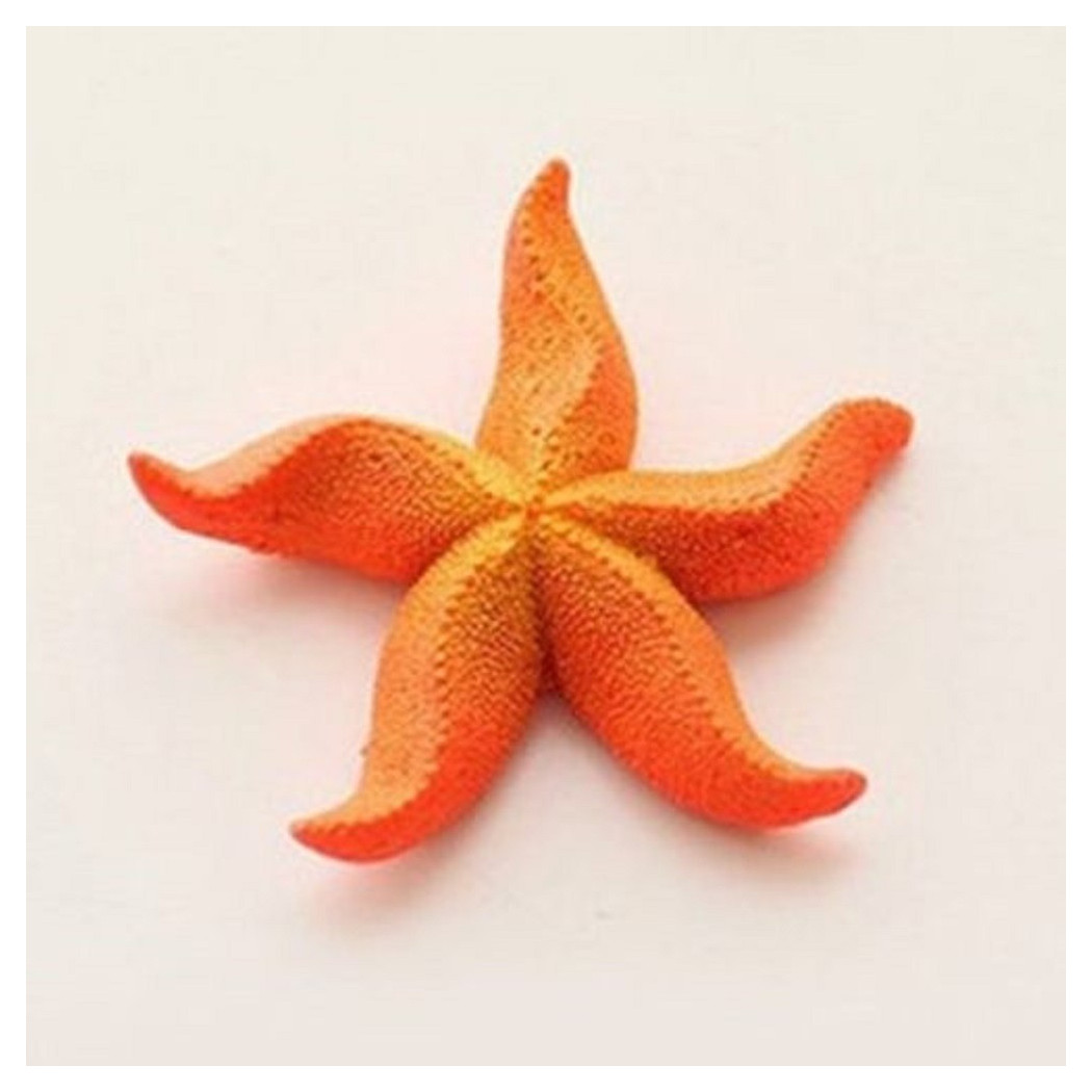 foto del prodotto trade shop stella marina artificiale in resina per decorazioni acquario corallo finto 7x7cm 
