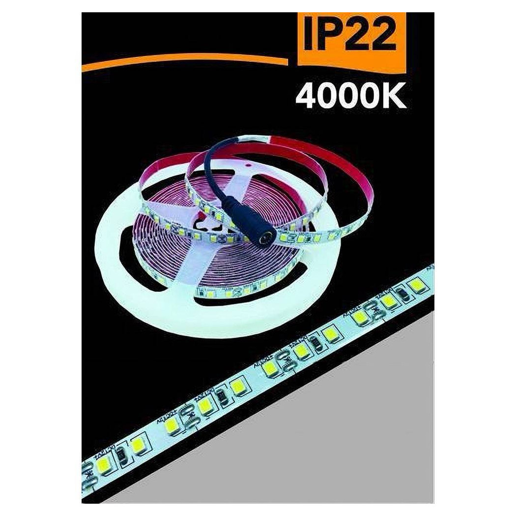 foto del prodotto trade shop striscia led 2835 strip 5mt bobina luce 3000k 4000k 6500k blu ip22 2835 12v bianco naturale 