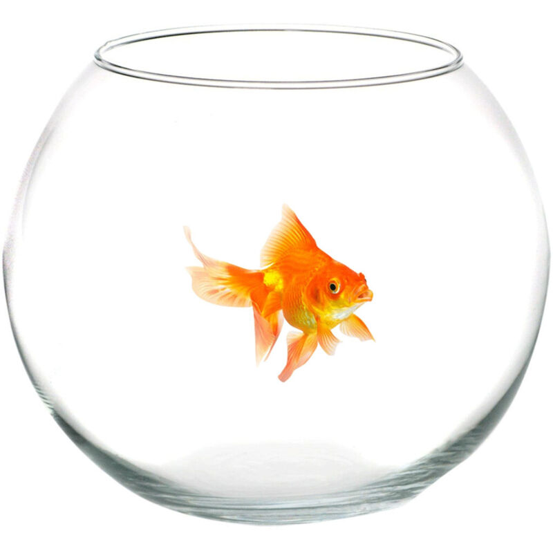 foto del prodotto trade shop traesio ampolla boccia per pesci in vetro 30 cm acquario pesce rosso centrotavola 