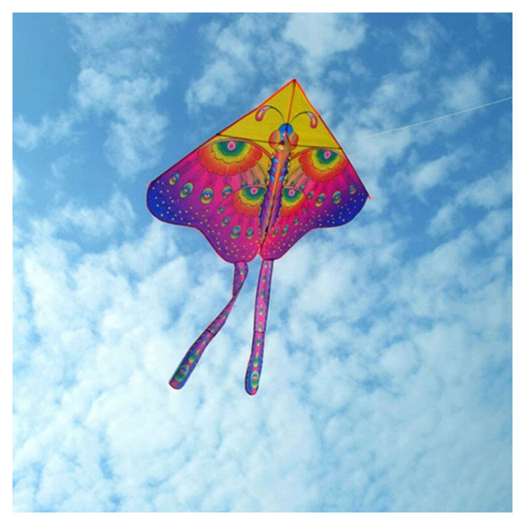 foto del prodotto trade shop traesio aquilone farfalla gioco esterno spiaggia facile da pilotare vari colori 140x130 