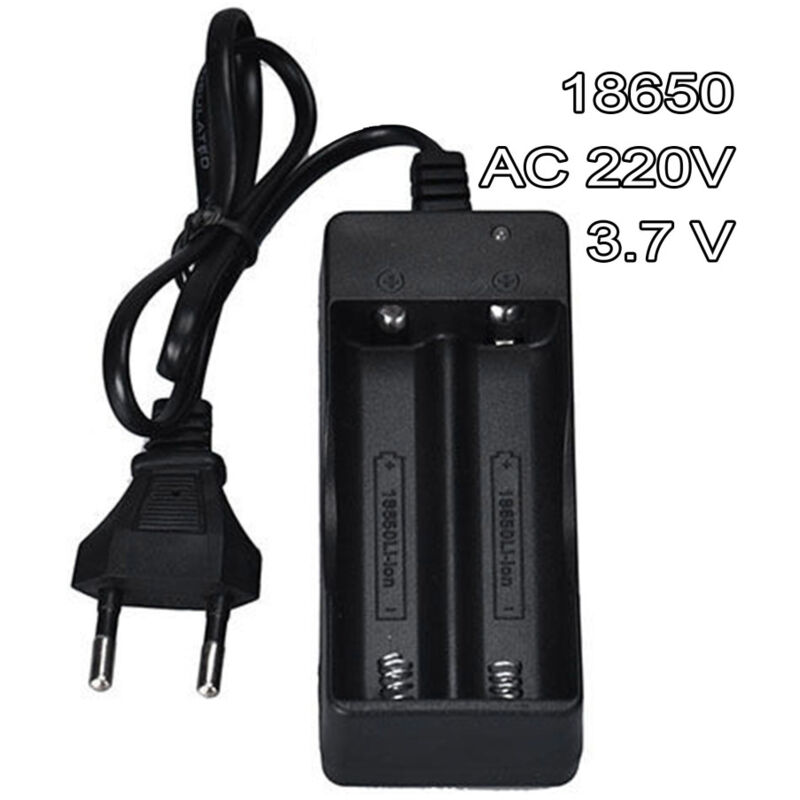 foto del prodotto trade shop traesio caricabatterie doppio pile ricaricabili 18650 ac 220v 3.7 v li ion batteria 