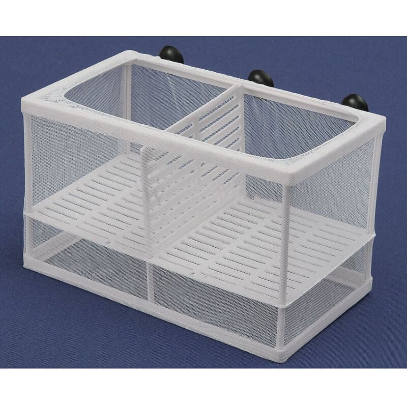 foto del prodotto trade shop traesio - cassetta per acquario allevamento separa pesci proteggi uova incubatrice grande -