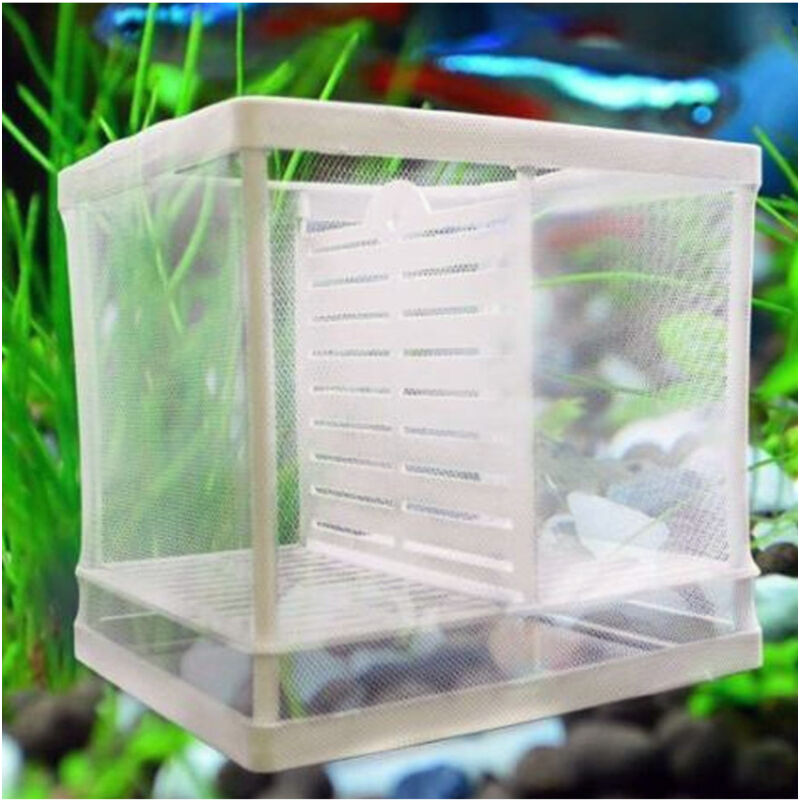 foto del prodotto trade shop traesio cassetta per acquario allevamento separa pesci proteggi uova incubatrice piccola 