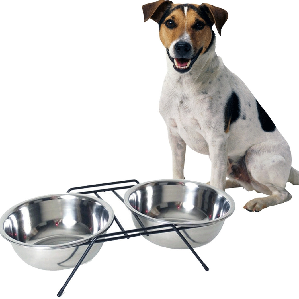 foto del prodotto trade shop traesio ciotola doppia rialzata per cani 2 per 20cm con supporto cibo acqua in metallo 