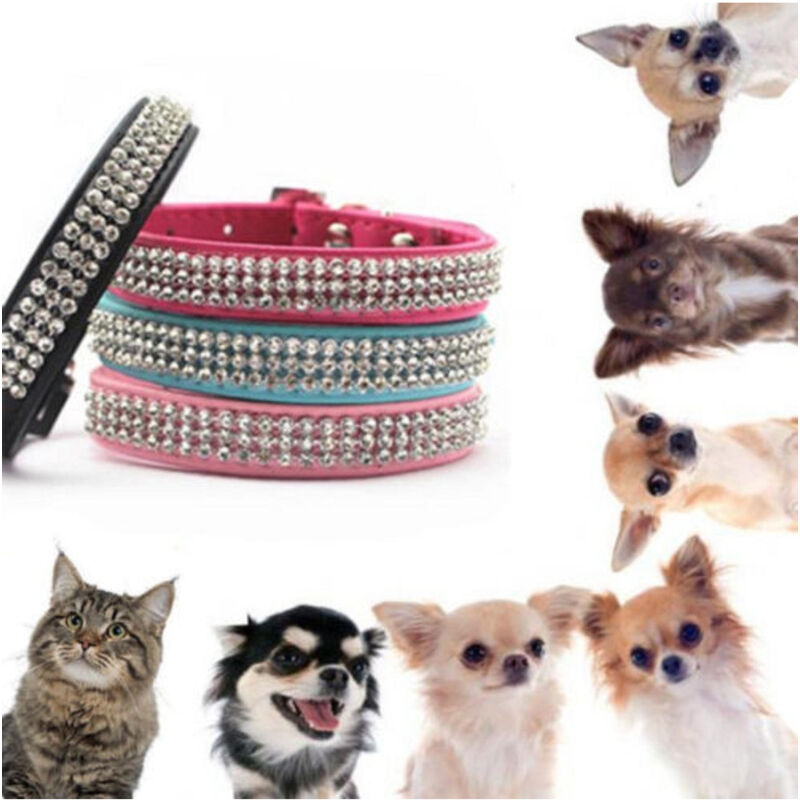 foto del prodotto trade shop traesio collare con strass per cani cane gatti animali pet brillantini colori assortiti 