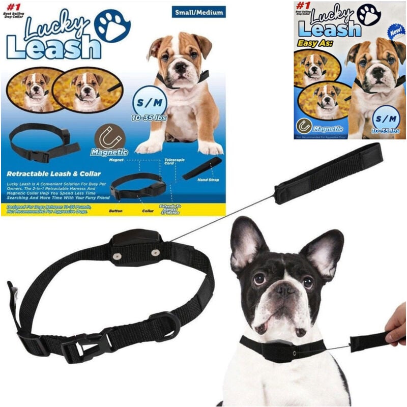 foto del prodotto trade shop traesio collare guinzaglio retraibile 2 in 1 per cane cani taglia s m con magnete 