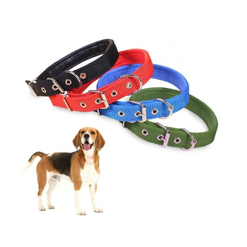 foto del prodotto trade shop traesio collare in nylon c imbottitura per cani di tg. media chiusura fibbia regolabile 