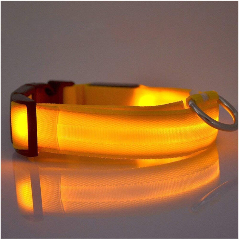foto del prodotto trade shop traesio collare luminoso a led di sicurezza per cani con luce fissa o lampeggiante 