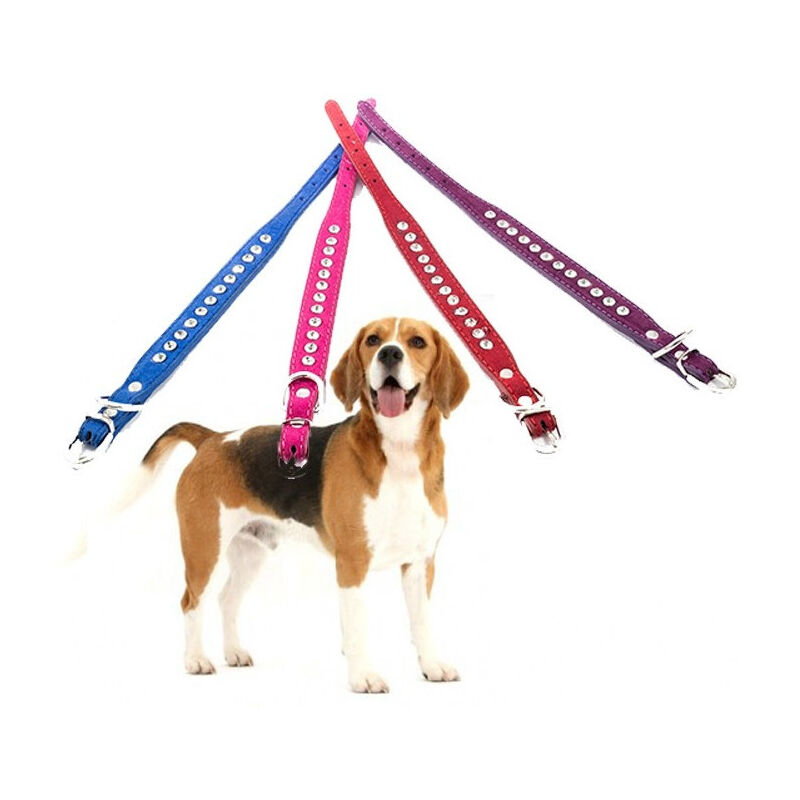 foto del prodotto trade shop traesio collare per cane cani con strass e brillantini brillantinato taglia piccola 