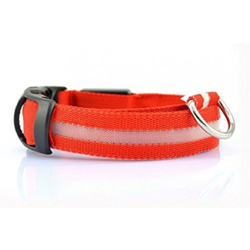 foto del prodotto trade shop traesio collare regolabile luminoso a led per cani e gatti vari colori e misure rosso l