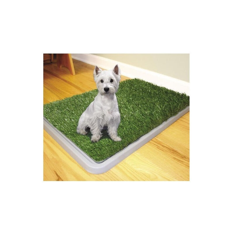 foto del prodotto trade shop traesio dog toilette cani potty patch lettiera wc lavabile 3 strati bisogni animali 43 x 68 cm 