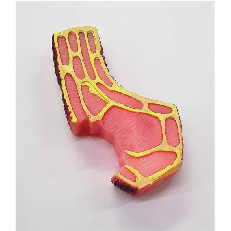 foto del prodotto trade shop traesio gioco bistecca rosa suono stridulo in plastica cani cane masticare denti animali 