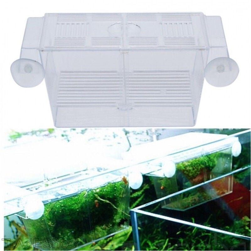 foto del prodotto trade shop traesio - incubatrice cassetta per acquario per allevamento separa pesci proteggi uova -