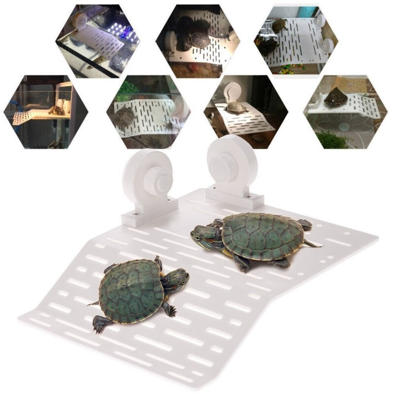 foto del prodotto trade shop traesio isola galleggiante per tartaruga tartarughe rettile con 2 ventose acquario 
