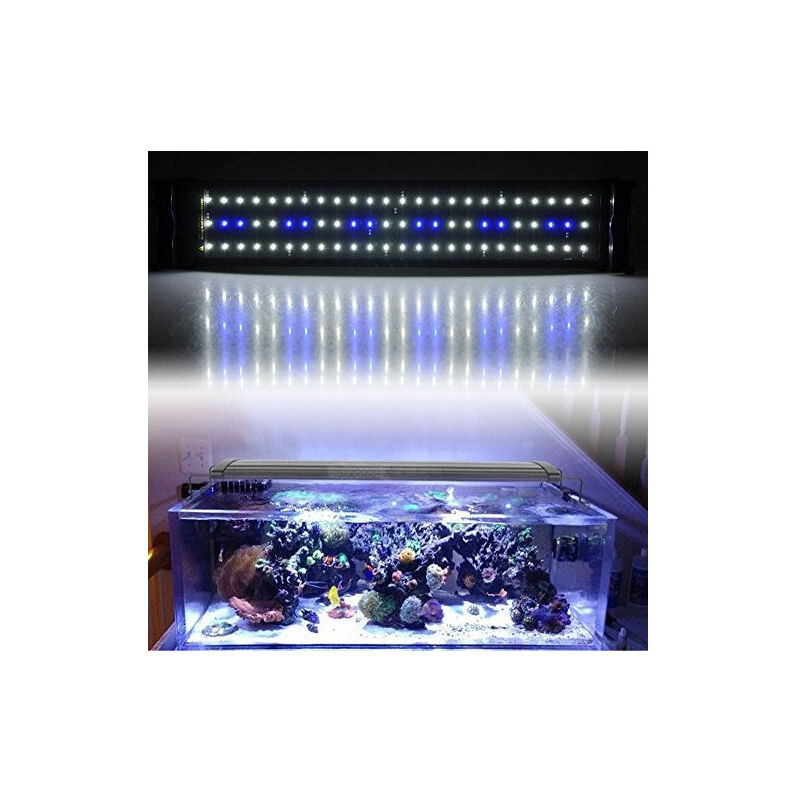 foto del prodotto trade shop traesio lampada plafoniera a led per acquari a bordo vasca regolabile luce bianca blu led450 
