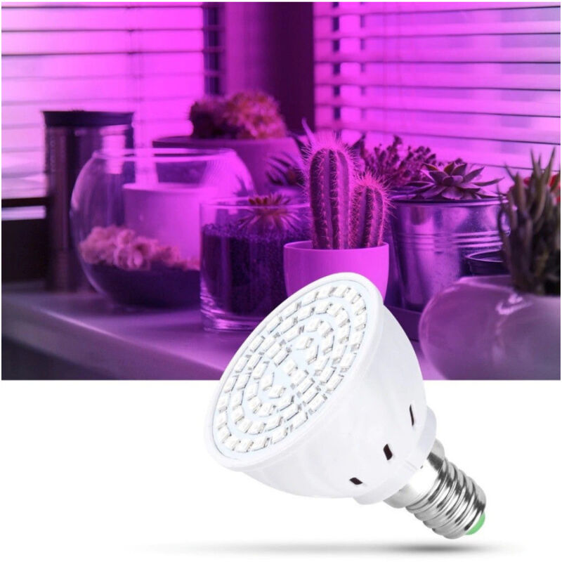 foto del prodotto trade shop traesio lampadina led smd lampada 2w per coltivazione piante fiori idroponica e14 e27 e14 