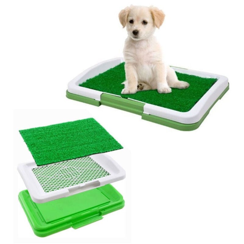 foto del prodotto trade shop traesio lettiera maxi per cucciolo cane erba wc panno assorbente potty cuccioli casa 