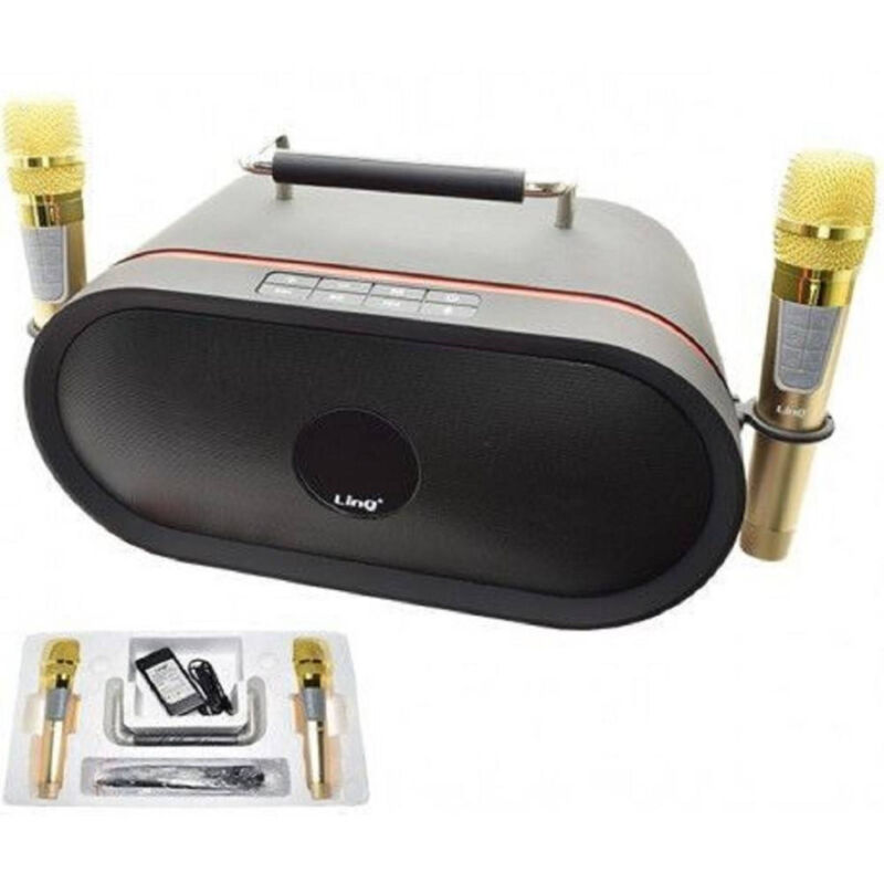 foto del prodotto trade shop traesio linq set audio bluetooth per karaoke portatile cassa speaker stereo microfoni 60w k 6668 