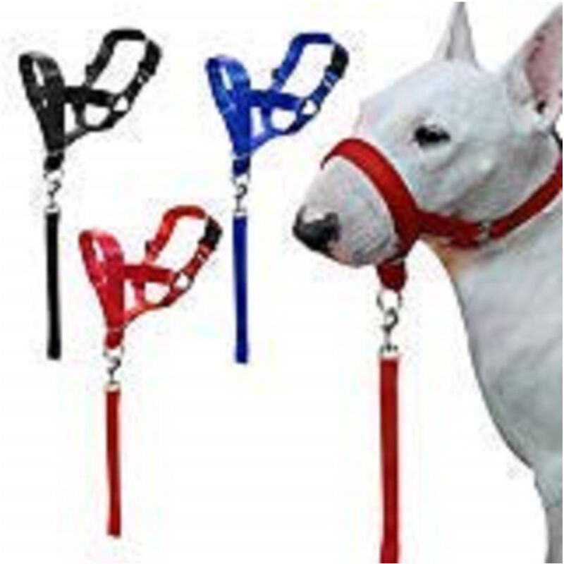 foto del prodotto trade shop traesio museruola da addestramento cane nylon collare cintura regolabile taglia s m l resistente s