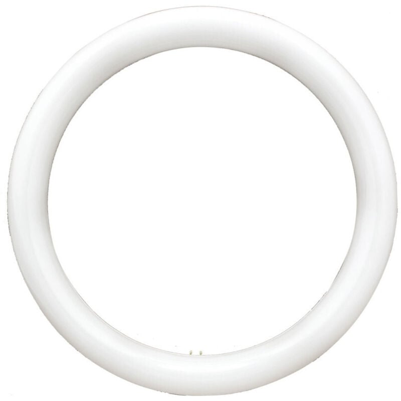 foto del prodotto trade shop traesio neon circolare disco lampada circolina lampadina 32w g10q 30cm 300mm luce fredda 