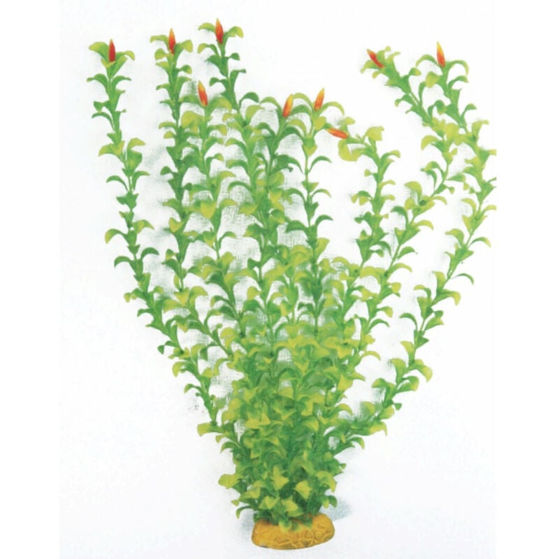 foto del prodotto trade shop traesio pianta acquatica artificiale per acquari classic plant hygrophila 