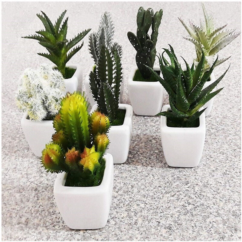 foto del prodotto trade shop traesio piantina grassa finta vaso ceramica quadrato 5x11cm decorazione uffici bomboniera 