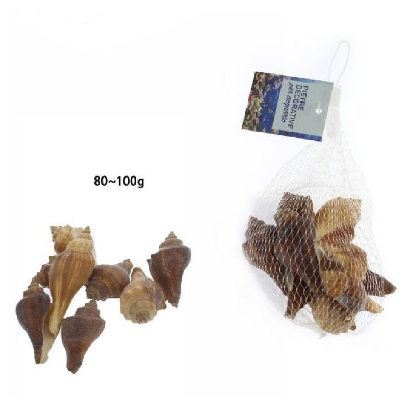 foto del prodotto trade shop traesio sacchetto conchiglie mare decorazione decoro per acquario da 80 100 gr. 70282 
