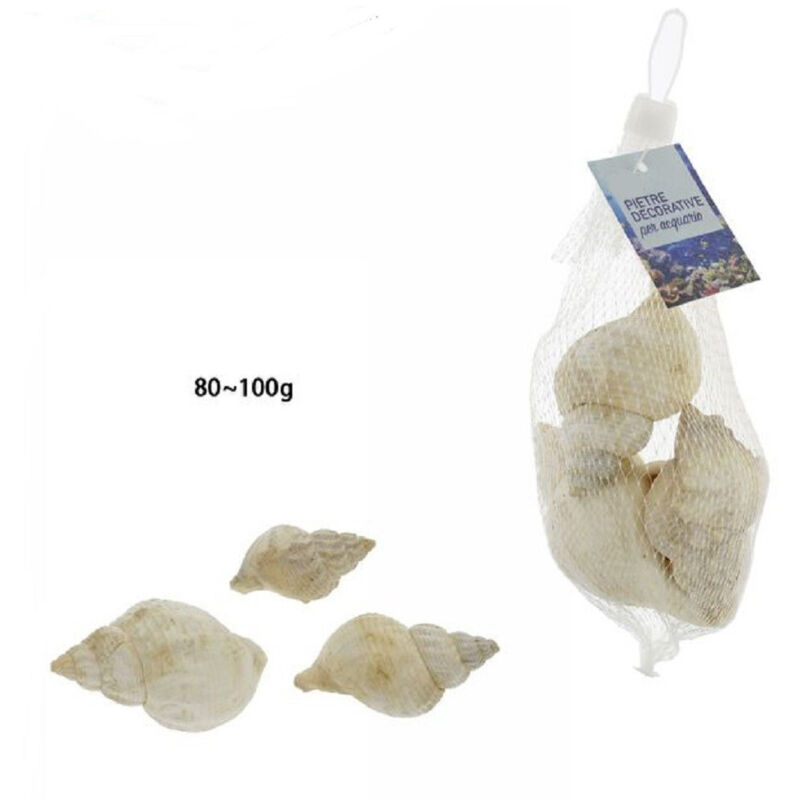 foto del prodotto trade shop traesio sacchetto da 80 100 gr conchiglie di mare decorazione ornamento acquario 70285 