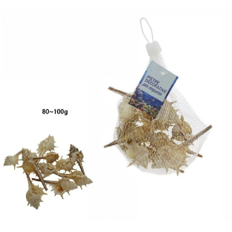 foto del prodotto trade shop traesio sacchetto di conchiglie mare arredo decorazione per acquario da 80 100 gr. 70283 