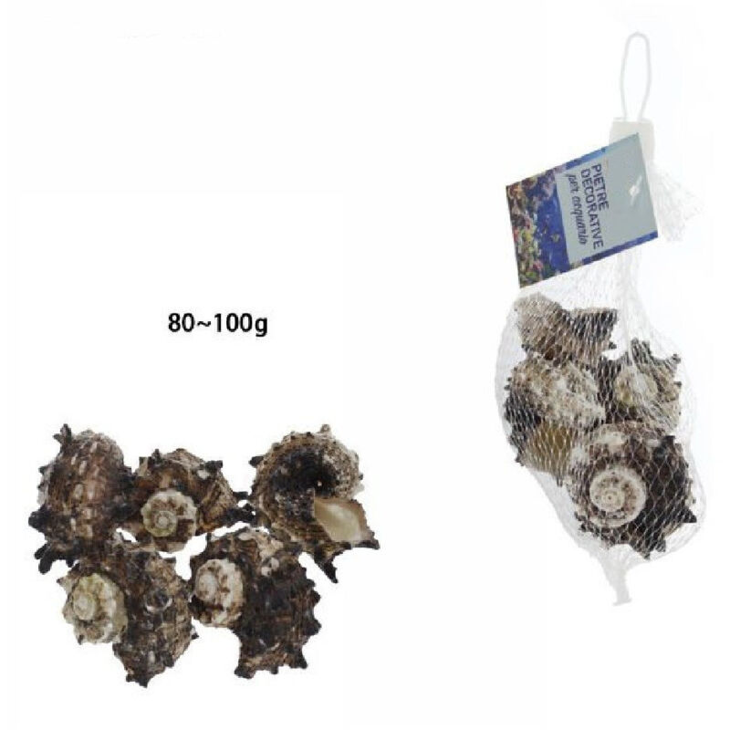 foto del prodotto trade shop traesio sacchetto di conchiglie mare da 80 100gr decorazione arredo per acquario 70288 