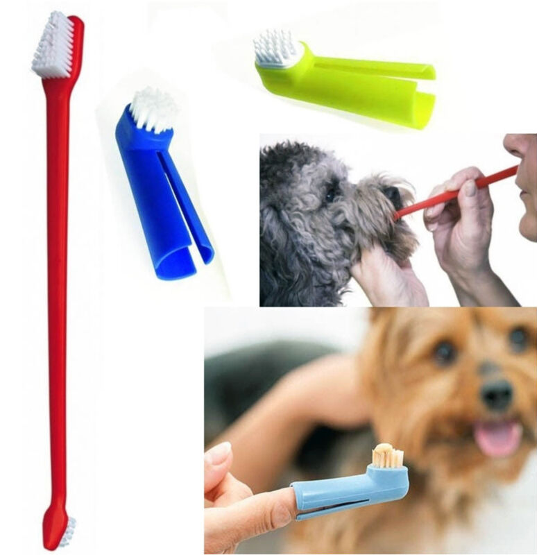 foto del prodotto trade shop traesio set spazzolino lungo doppio con 2 testine dito per cane animali pulizia denti 