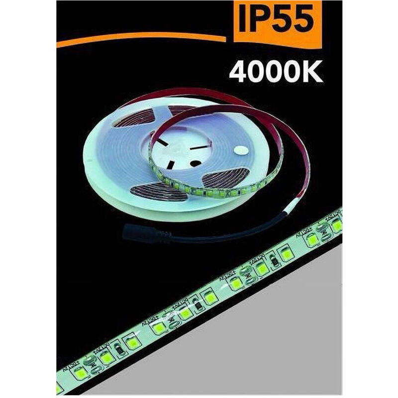 foto del prodotto trade shop traesio striscia led 2835 5mt bobina luce 4000k 3000k 6500k waterprof ip55 2835 12v bianco naturale 