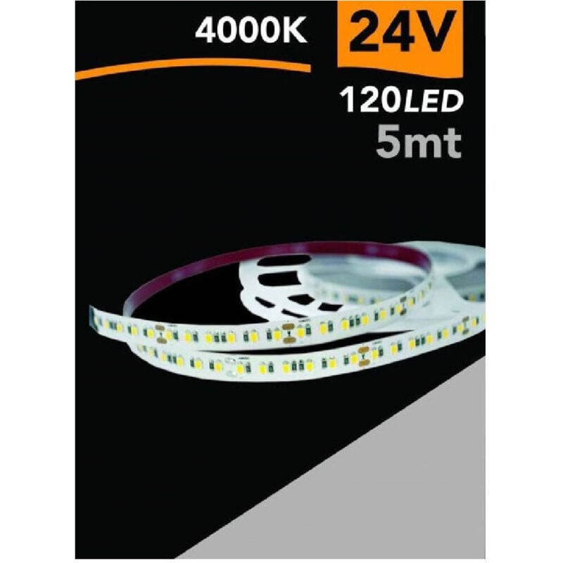 foto del prodotto trade shop traesio striscia led 2835 strip 5 mt 24v 120 led smd luce 3000k 4000k 6500k 2835 24v 5mm bianco naturale 