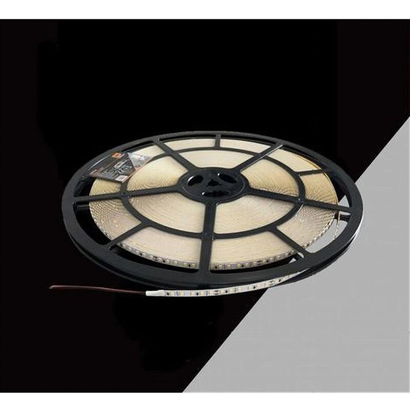 foto del prodotto trade shop traesio striscia led smd2835 bobina 50 metri 24v ip20 luce 6500k 3000k 4000k 50m 24v 120 bianco caldo 