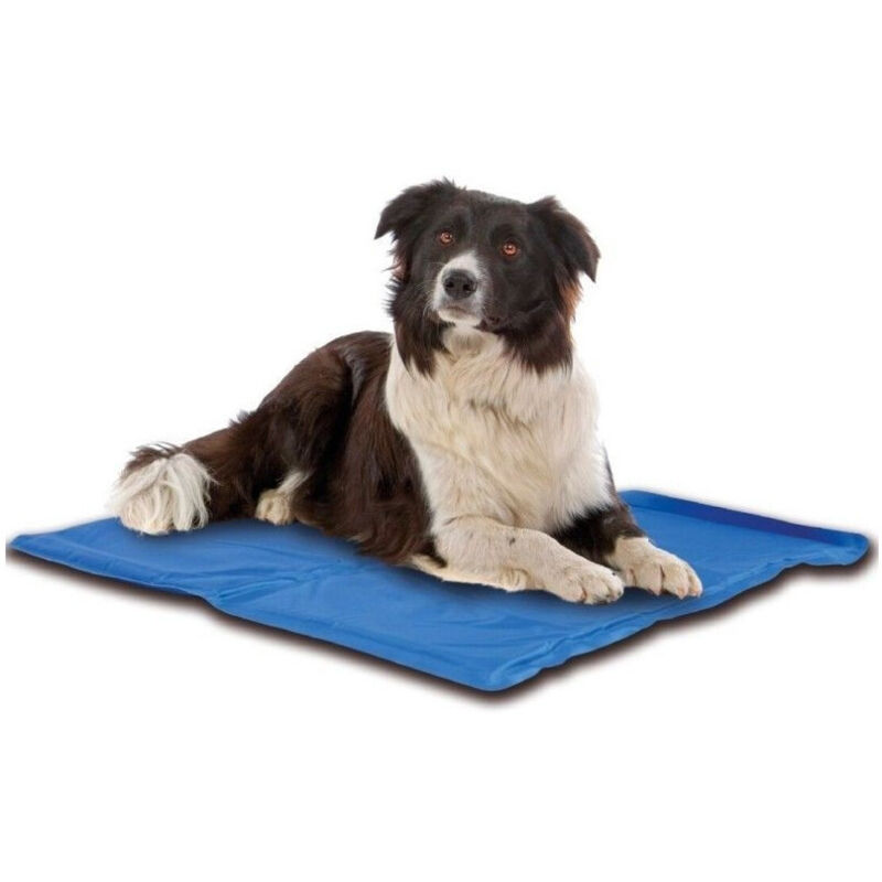 foto del prodotto trade shop traesio tappeto tappetino refrigerante 65x50cm raffreddante cuscino per cane animali 