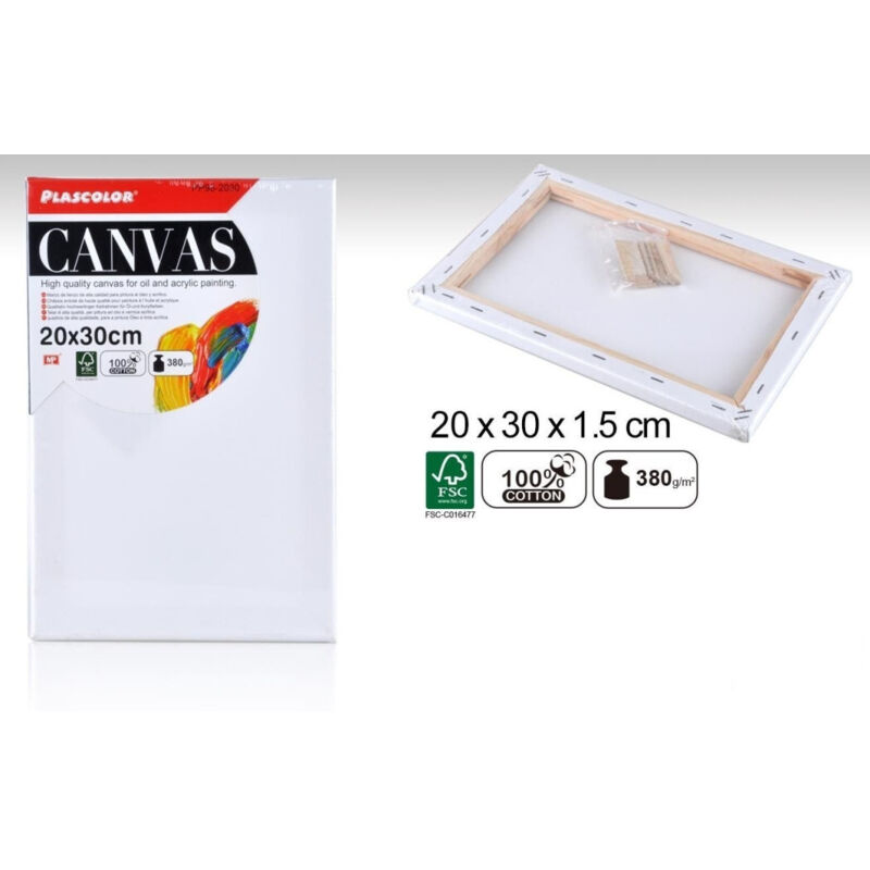 foto del prodotto trade shop traesio tela per dipingere canvas rettangolare 20 x 30 cm artico disegno arte pittura 