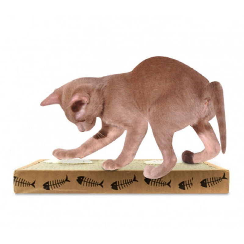 foto del prodotto trade shop traesio tiragraffi nobleza per gatti cartone profumato 38.2 x 23 x 4 cm fishing box 