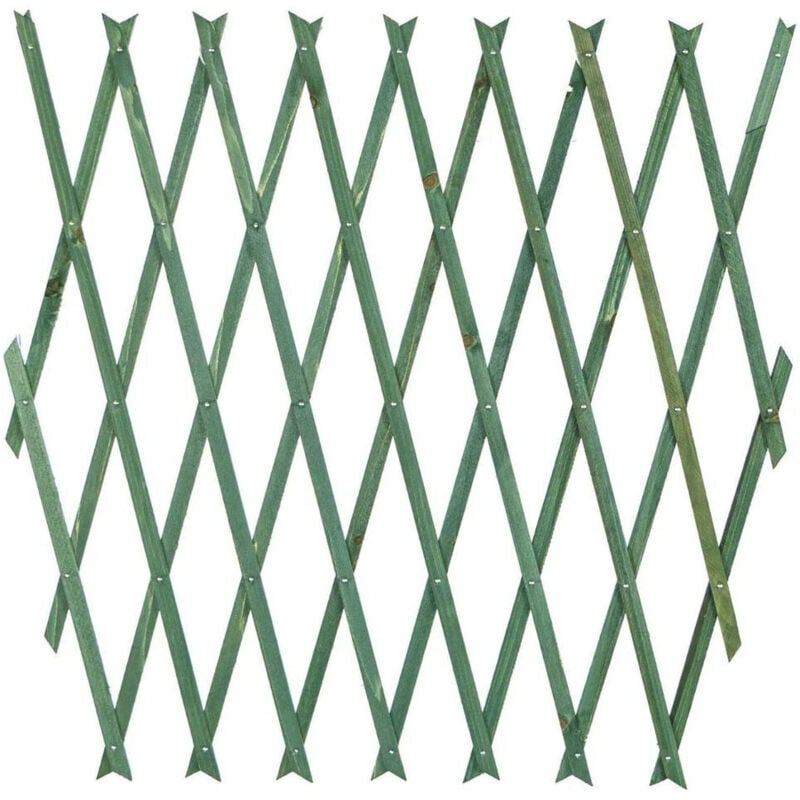 foto del prodotto trade shop traesio - traliccio rete estensibile in legno verde per parete da giardino piante 100x200 -